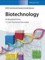 Biotechnology An Illustrated Primer
