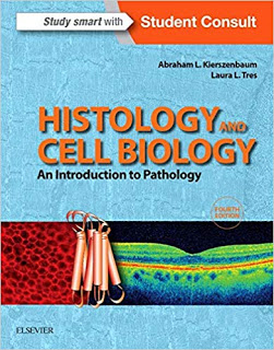 histology and cell biology an introduction to pathology pdf,histology and cell biology kierszenbaum pdf,histology and cell biology pdf,histology and cell biology an introduction to pathology pdf free download,histology and cell biology an introduction to pathology 4e pdf,histology and cell biology examination and board review,histology and cell biology an introduction to pathology e-book,histology and cell biology abraham kierszenbaum pdf,histology and cell biology an introduction to pathology,histology and cell biology an introduction to pathology pdf download,histology and cell biology an introduction to pathology 3rd edition pdf,histology and cell biology an introduction to pathology 4th edition pdf,histology and cell biology an introduction to pathology 5th edition,histology and cell biology an introduction to pathology 5th edition pdf,histology and cell biology book pdf,histology and cell biology by kierszenbaum,histology and cell biology examination and board review pdf,histology and cell biology examination and board review free download,histology and cell biology examination and board review fifth edition pdf,histology and cell biology examination and board review pdf download,brs histology and cell biology pdf,histology with correlated cell and molecular biology,histology and cell biology pdf download,histology cell biology difference,define histology and cell biology,rapid review histology and cell biology pdf download,deja review histology and cell biology pdf,deja review histology and cell biology,histology and cell biology elsevier,histology and cell biology 4th edition,histology and cell biology third edition,histology and cell biology fifth edition,histology and cell biology an introduction to pathology ebook,histology and histopathology from cell biology to tissue engineering,journal of histology and cell biology impact factor,cell biology and histology pdf free download,brs cell biology and histology free download,brs cell biology and histology pdf free download,cell biology and histology gartner pdf,cell biology and histology gartner,histology and cell biology lange pdf,histology and cell biology kierszenbaum,histology and cell biology journal,histology and cell biology abraham kierszenbaum,histology and cell biology an introduction to pathology kierszenbaum pdf,histology a text and atlas with cell and molecular biology,histology and cell biology nbme,journal of histology and cell biology,anatomy histology and cell biology pretest,rapid review histology and cell biology pdf,histology cell and tissue biology,histology and cell biology an introduction to pathology 3rd edition,histology and cell biology an introduction to pathology 4th edition pdf free,histology and cell biology an introduction to pathology 4th edition,histology and cell biology an introduction to pathology 5th,brs cell biology and histology 6th edition,brs cell biology and histology 7th edition download,brs cell biology and histology 7th edition pdf free download,brs cell biology and histology 7th edition,brs cell biology and histology 8th edition pdf free,brs cell biology and histology 8th edition download,brs cell biology and histology 8th edition pdf,brs cell biology and histology 8th edition