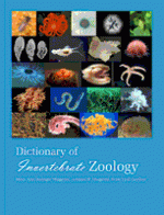 [PDF] Dictionary of Invertebrate Zoology