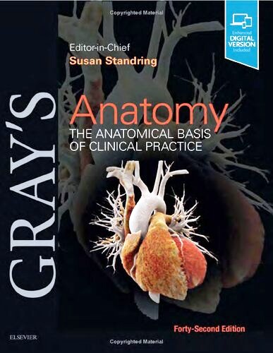 GRAY'S Anatomy the Anatomical Basis of Clinical Practice 42ND EDITION 2022
