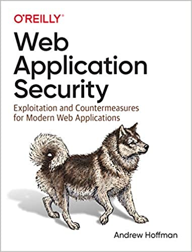 Web Application Security pdf