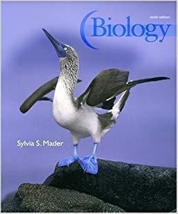 biology sylvia mader 13th edition,biology sylvia mader 12th edition,biology sylvia mader michael windelspecht,biology sylvia mader pdf,biology sylvia mader 11th edition pdf,biology sylvia mader pdf download,biology sylvia mader 10th edition pdf,biology sylviaan biology book sylvia mader,concepts of biology sylvia mader pdf,concepts of biology sylvia mader,sylvia mader biology 13th edition,human biology sylvia s mader download,essentials of biology sylvia mader pdf,essentials of biology sylvia mader,human biology sylvia mader free pdf,human biology sylvia mader,human biology sylvia mader pdf,sylvia mader biology,sylvia mader biology pdf,biology 13th edition by sylvia mader,biology laboratory manual sylvia s mader pdf,biology sylvia s. mader michael windelspecht,biology sylvia s mader,human biology sylvia s. mader pdf,human biology sylvia s mader,laboratory manual biology sylvia s mader,essentials of biology sylvia s. mader,biology sylvia mader 12th edition pdf,biology sylvia mader 13th edition pdf mader 12th edition pdf free,biology by sylvia s. mader,human biology by sylvia mader,hum
