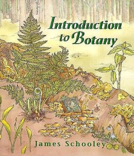 introduction to botany pdf,introduction to botany online course,introduction to botany textbook,introduction to botany powerpoint,introduction to botany ppt,introduction to botany murray nabors,introduction to botany alexey shipunov,introduction to botany book,introduction to botany and zoology,introduction to agricultural botany pdf,introduction to agricultural botany,introduction to economic botany and its scope,an introduction to the botany of tropical crops,introduction to plants and botany,introduction about botany,an introduction to botany,an introduction to botany pdf,an introduction to botany james lee,plant science an introduction to botany,plant science an introduction to botany pdf,plant science an introduction to botany the great courses,introduction to botany book pdf,introduction to botany berg pdf,introduction to botany berg,introduction to botany charm dead by daylight,introductory botany berg 2nd edition pdf,introductory botany berg,best introduction to botany book,introduction to botany course,introduction to botany charm dbd,introduction to botany course outline,introduction to crop botany,introductory botany course,city lit introduction to botany,introduction to botany pdf download,introduction to botany nabors pdf download,introduction to botany pdf free download,introduction to economic botany,introduction to economic botany ppt,introduction for botany,introductory botany fiu,intro to botany,introduction to general botany ppt,introduction to general botany,introduction to general botany pdf,the great courses introduction to botany,introduction to botany in montessori,introduction in botany,introduction to botany james lee,john lindley introduction to botany,introduction to botany lecture notes,introductory botany linda berg pdf download,introductory botany linda berg pdf,introductory botany linda berg,introduction to botany murray nabors pdf,introduction to botany murray pdf,introduction to botany nabors,introduction to botany nabors pdf,introduction to botany notes,botany an introduction to plant biology,botany an introduction to plant biology pdf,botany an introduction to plant biology pdf free download,introduction to botany online,introduction of botany,introduction of botany pdf,introduction of botany ppt,introduction to the science of botany,introduction to pharmaceutical botany,introduction to pharmaceutical botany with taxonomy,introduction to plant botany,introduction to botany quiz,introduction to botany slideshare,introduction to botany syllabus,introduction to systematic botany,introductory botany textbook,intro to botany pdf