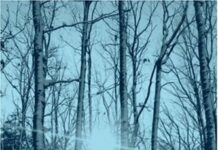 When Death Enters the Therapeutic Space When Death Enters the Therapeutic Space pdf